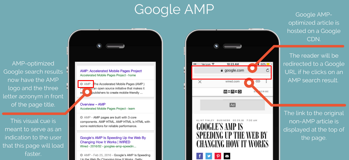 AMP in search 