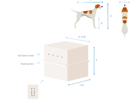 aeromexico pet carrier size 