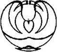 D:\0 wd yedek\acr yedek\1 film indirme\forbidden_magic_ancients_9_dosyalar\image005.jpg