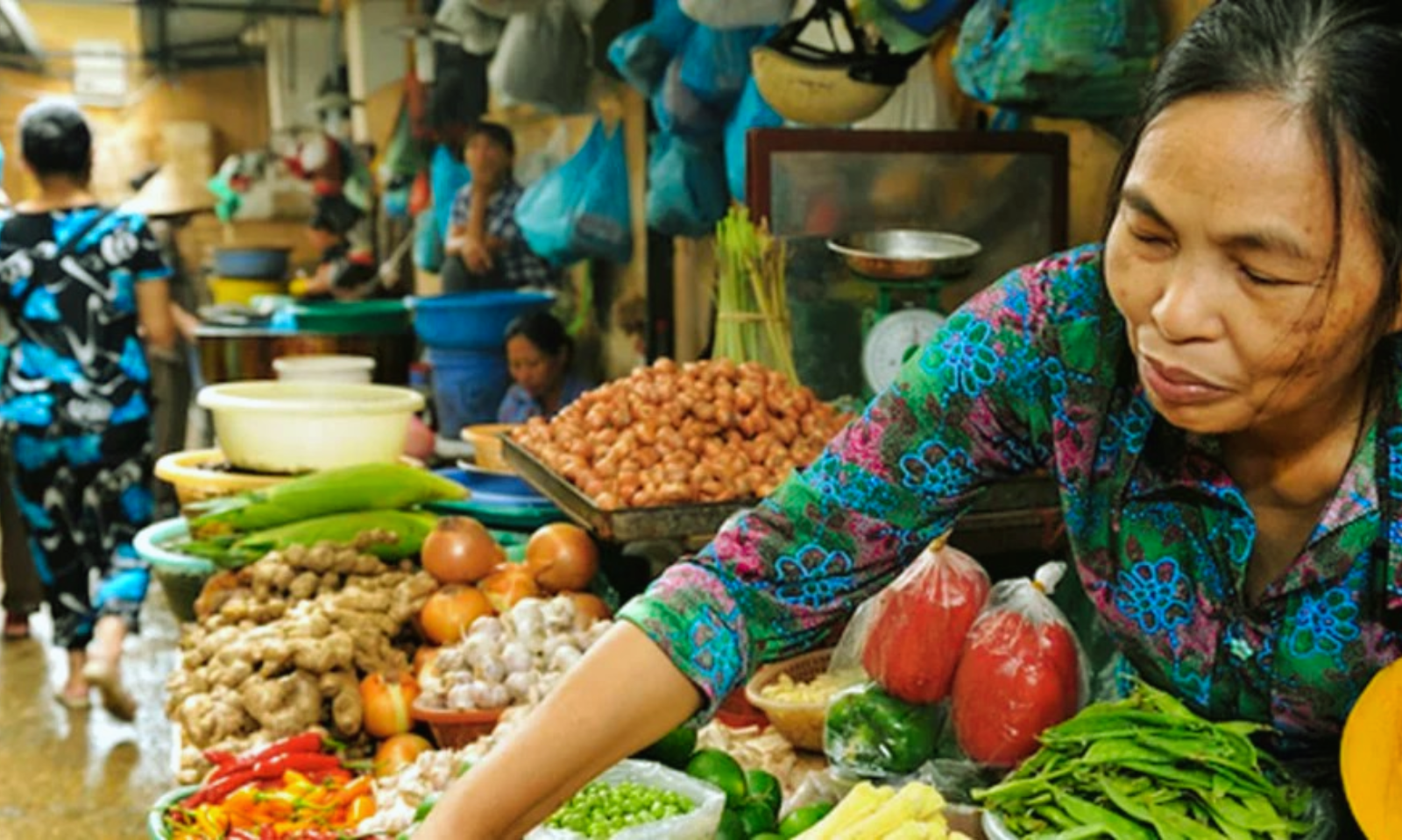 Top 15 Funny And Healthy Outdoor Activities To Enrich Your Travel In Vietnam