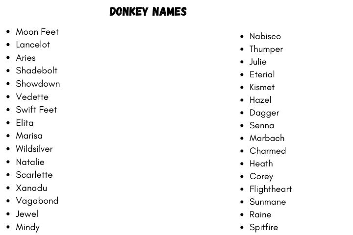 Minecraft Horse Donkey Name