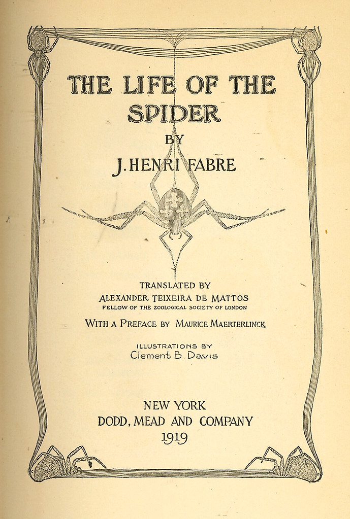 #5 — The Life of the Spider 