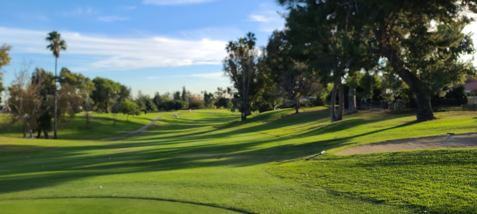 초록초록 27홀 챔피언십 골프코스 - 로스 카요티스 컨트리클럽 Los Coyotes Country Club