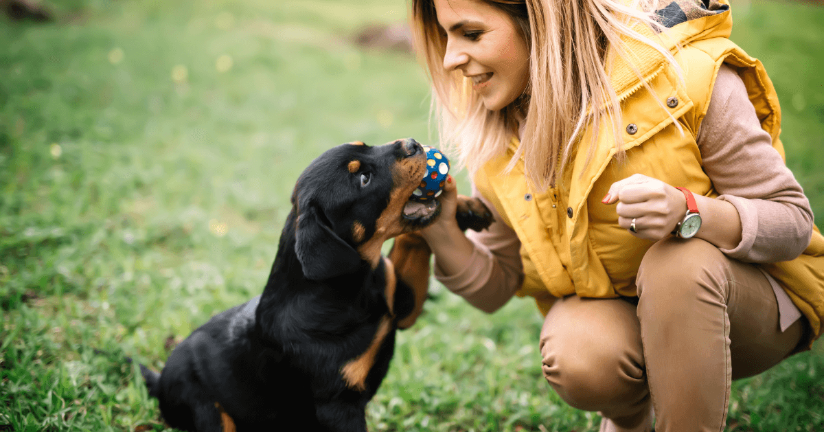 puppy playing with ball and lady owner