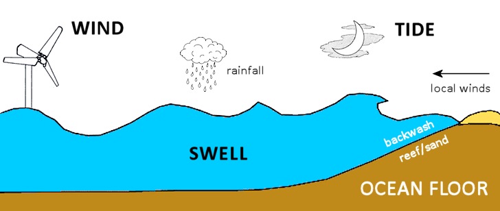 How is a wave formed: wind is the source of the surf