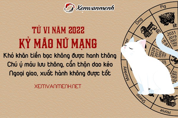 tu-vi-tuoi-ky-mao-nam-2022-nu-mang-1999