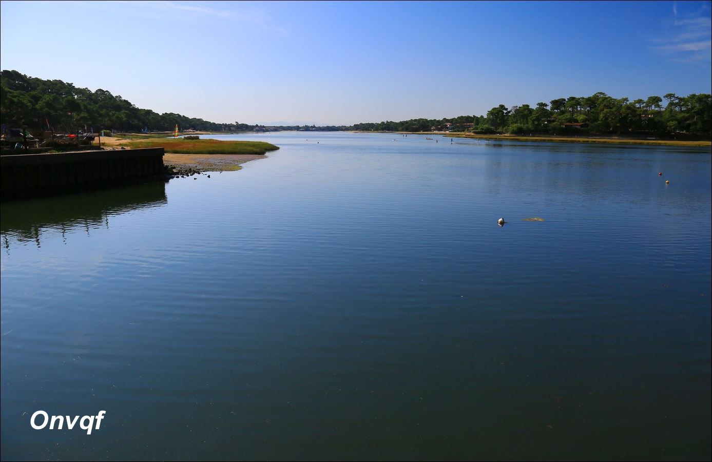 ob_038473_43.JPG