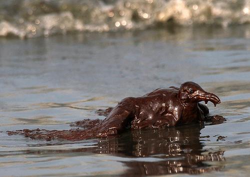 El derrame de crudo de BP seguirá afectando al medio ambiente durante  muchos años | Empresa y economía