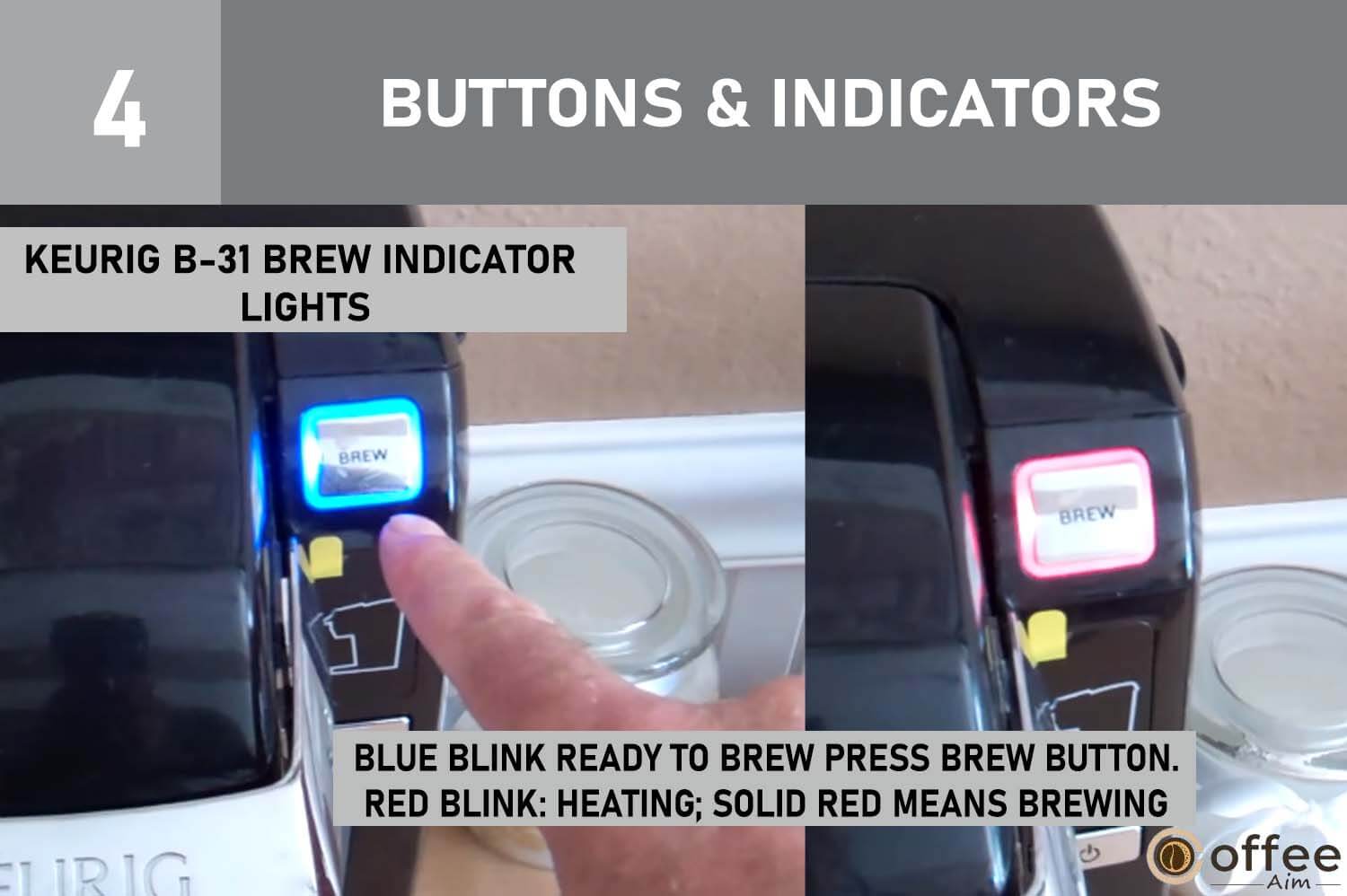 This visual representation illustrates the 'Brew Indicator Lights on Your Keurig B-31' under the section titled 'Buttons & Indicators' within the article 'How To Use Keurig B-31'.