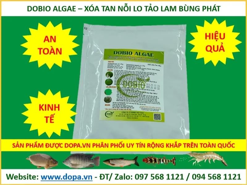 Chế phẩm sinh học Dobio Algae giảm tảo lam