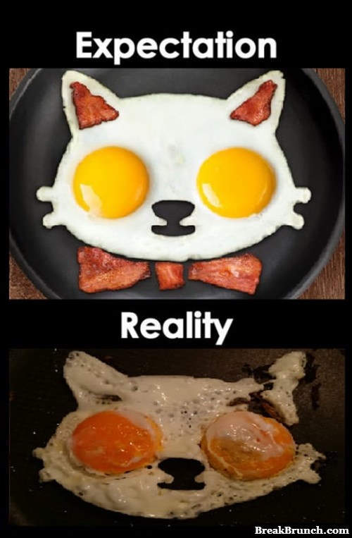 2021 expectations- A cute cat shaped omelet compared to a burnt one