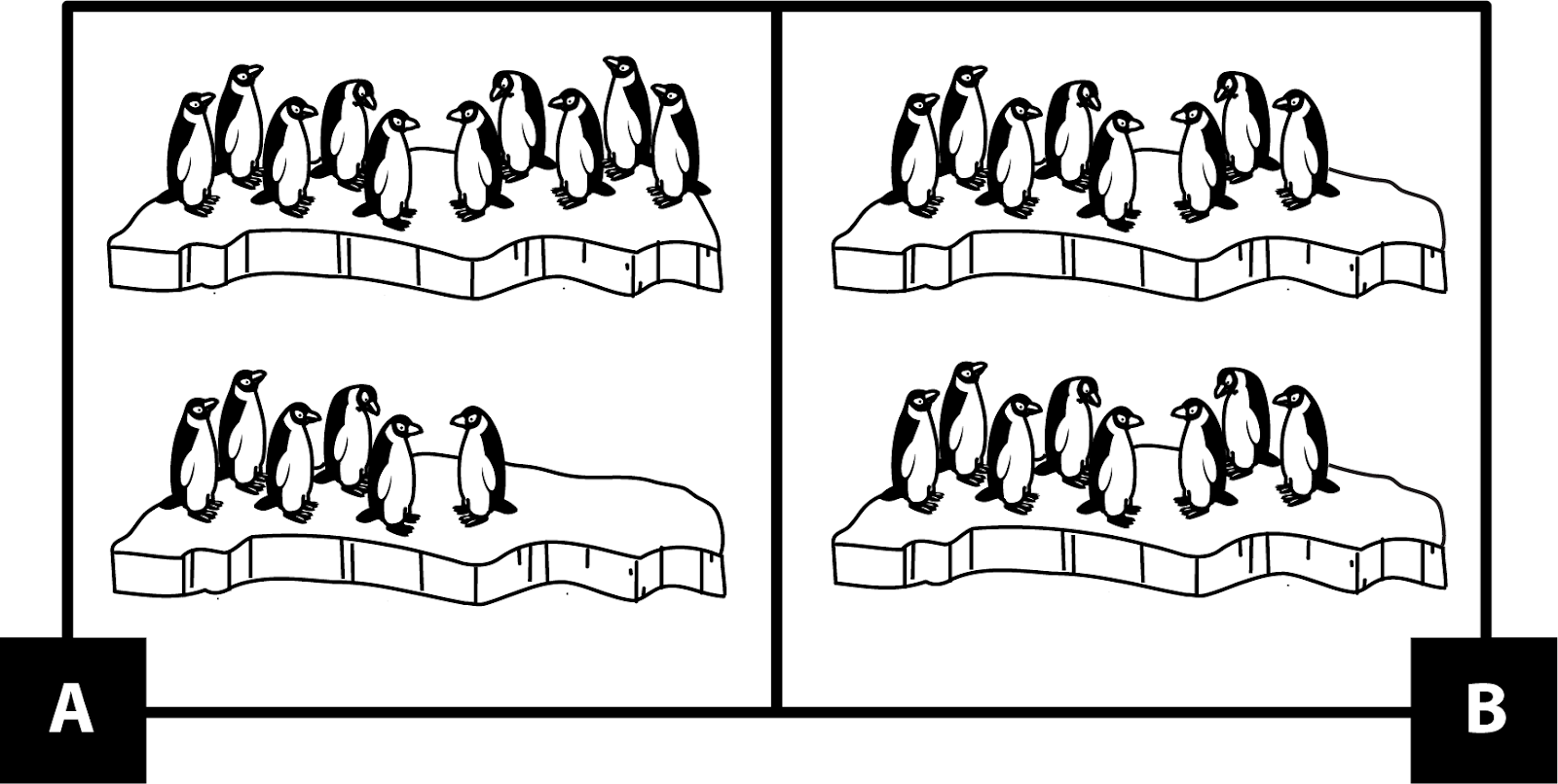 A: un trozo de hielo con 10 pingüinos y otro trozo de hielo con 6 pingüinos. B: un trozo de hielo con 8 pingüinos y otro trozo de hielo con 8 pingüinos.