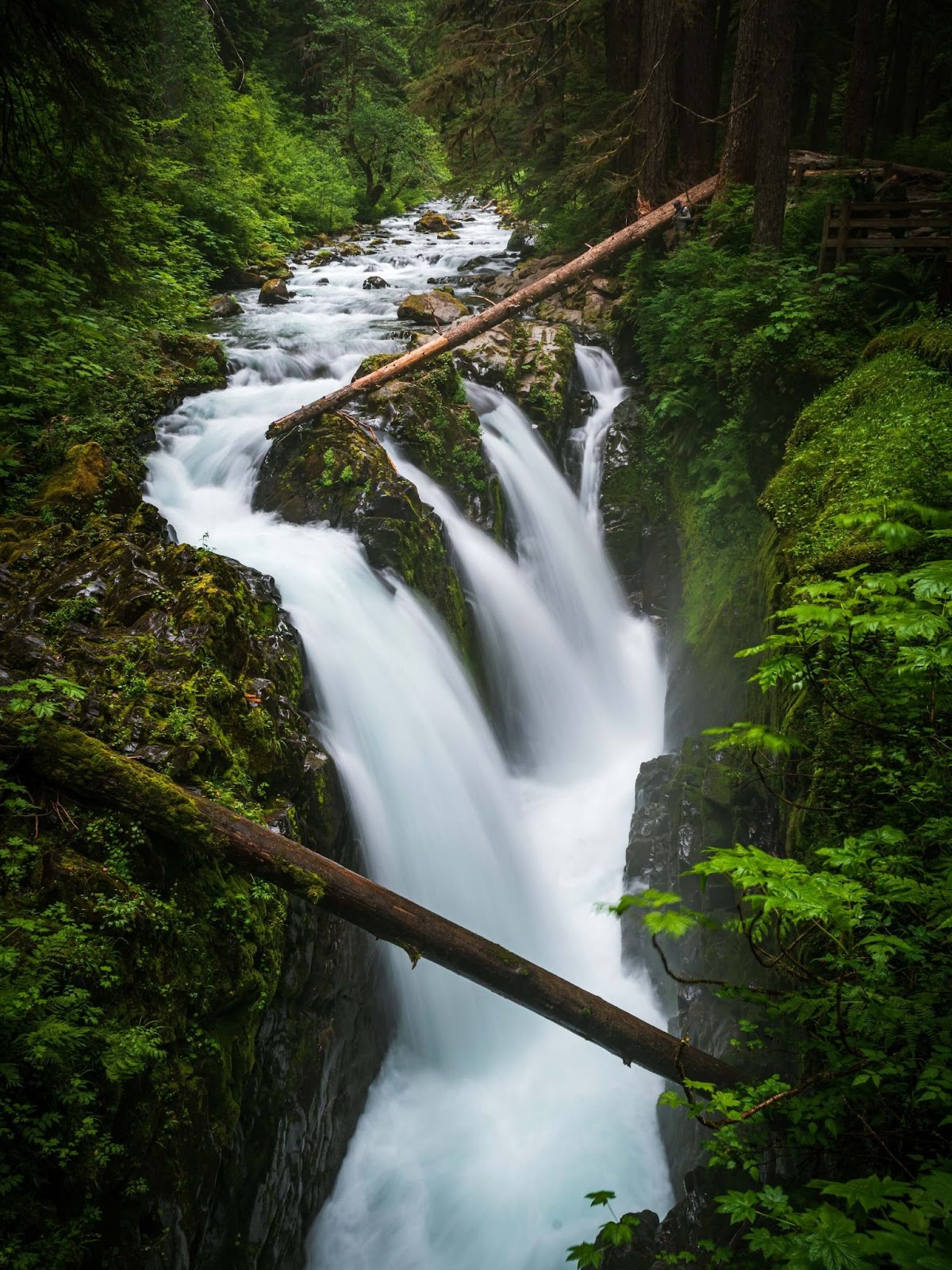 2 days in Olympic National Park, Sol Duc Falls