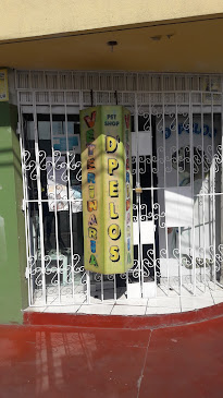 D'Pelos - Veterinario