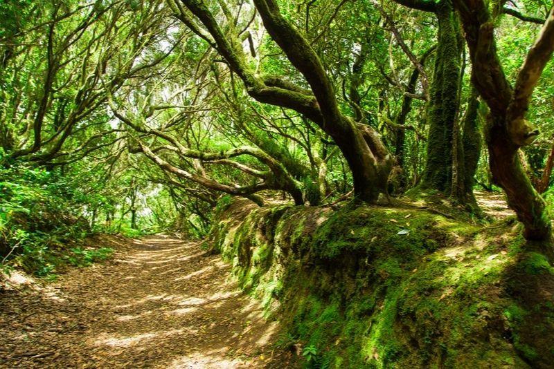 Anaga-Gebirge: Tagesausflüge und Touren ab Teneriffa