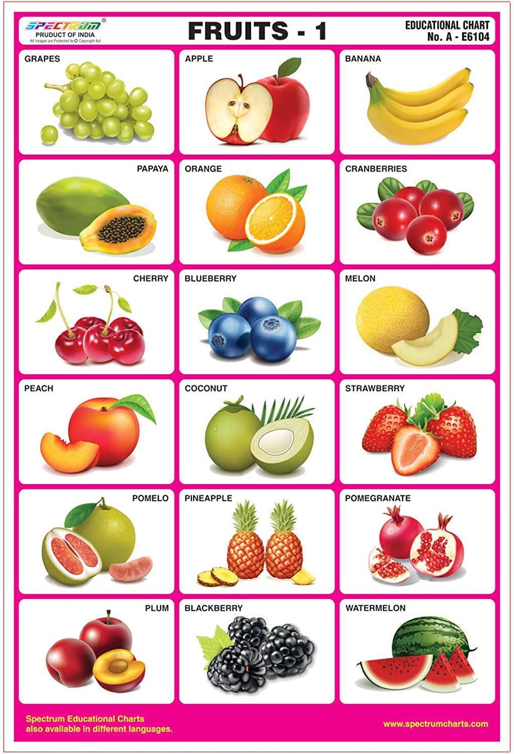 Amazon.com: Spectrum Fruits-1 Pre-Primary Kids Learning ...