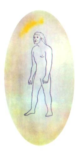 cwl-ma01