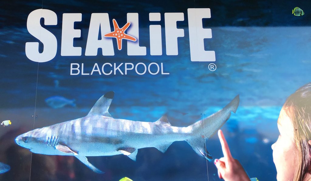 Review sealife Blackpool