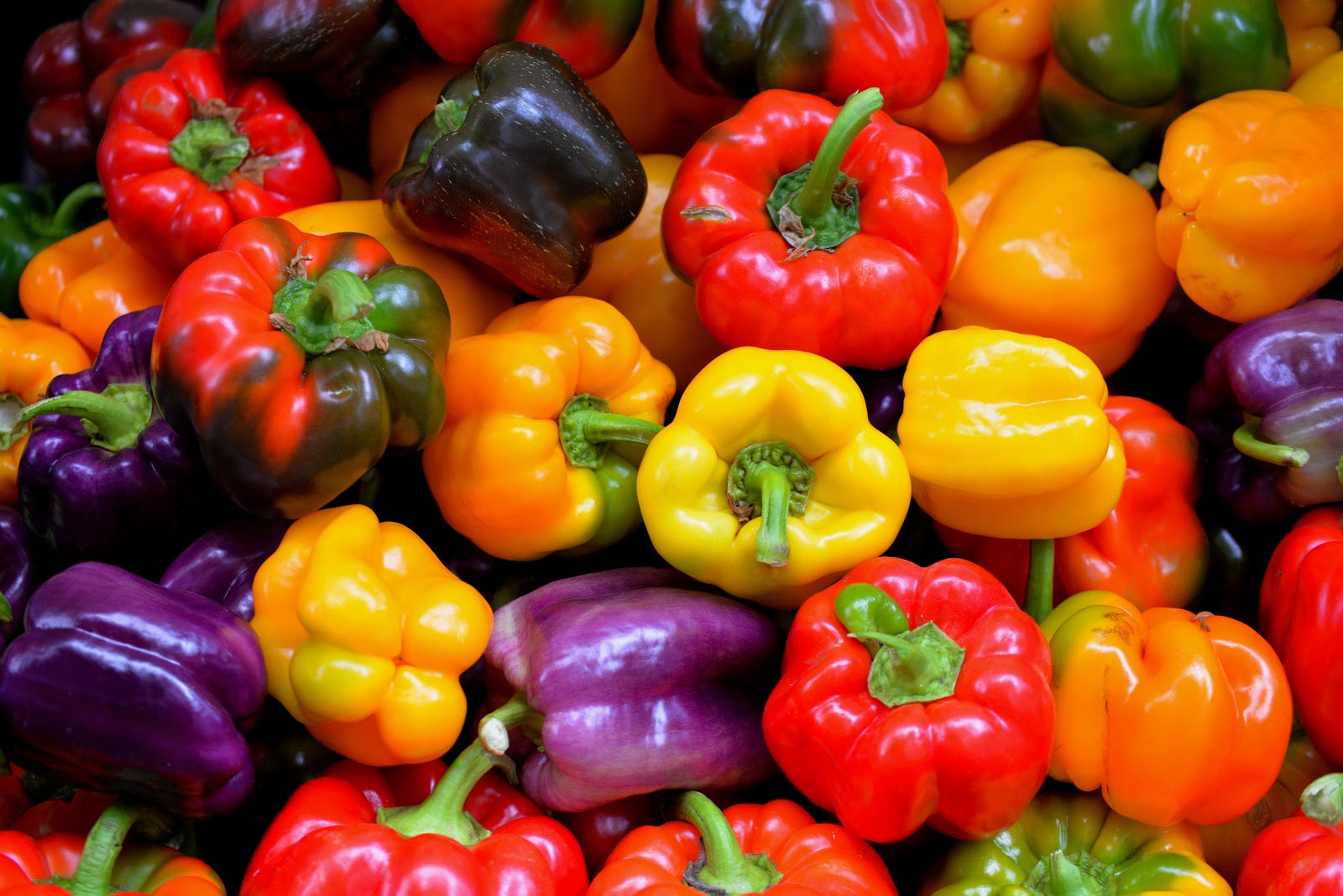 bell pepper plant: varieties of bell pepper