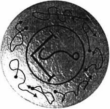 D:\0 wd yedek\acr yedek\1 film indirme\forbidden_magic_ancients_12_dosyalar\image219.jpg
