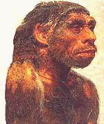neanderthal