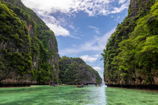 Maya Bay Sleep: The Most Famous Beach in Thailand