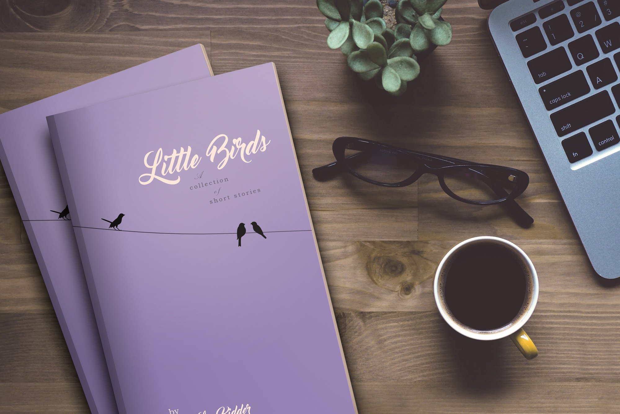 Book Cover Of Little Birds On A Table Next To Coffee And A Laptop