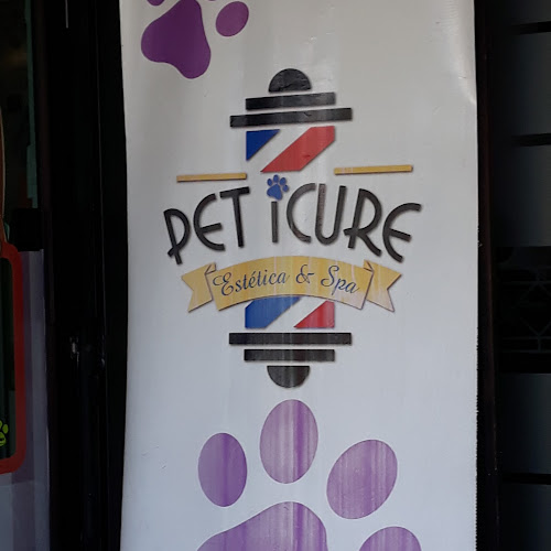 PETCURE, Clinica Veterinaria, Peluqueria Canina, Pet shop, Veterinario, - Veterinario
