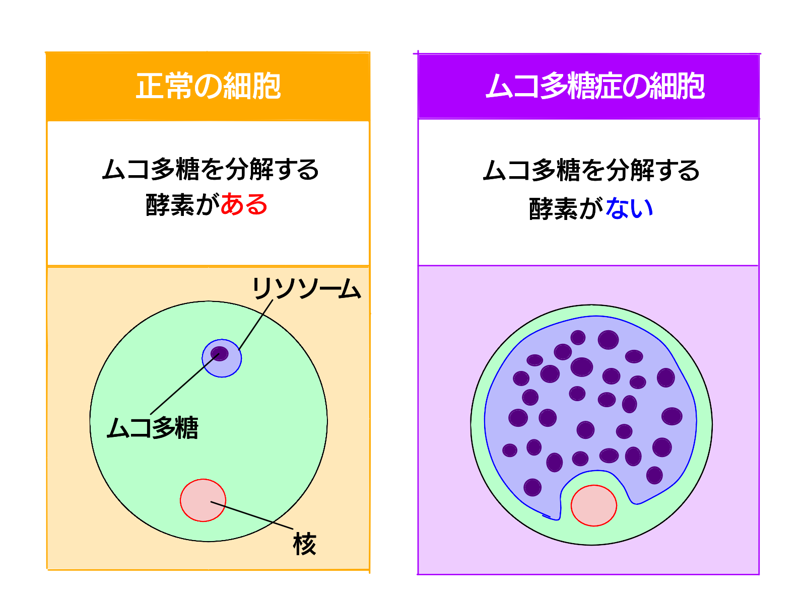 回覧板 意味 英語