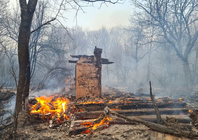Лесной пожар в Котовском лесничестве возле села Владимировка в Чернобыльской зоне отчуждения, 5 апреля 2020 года
